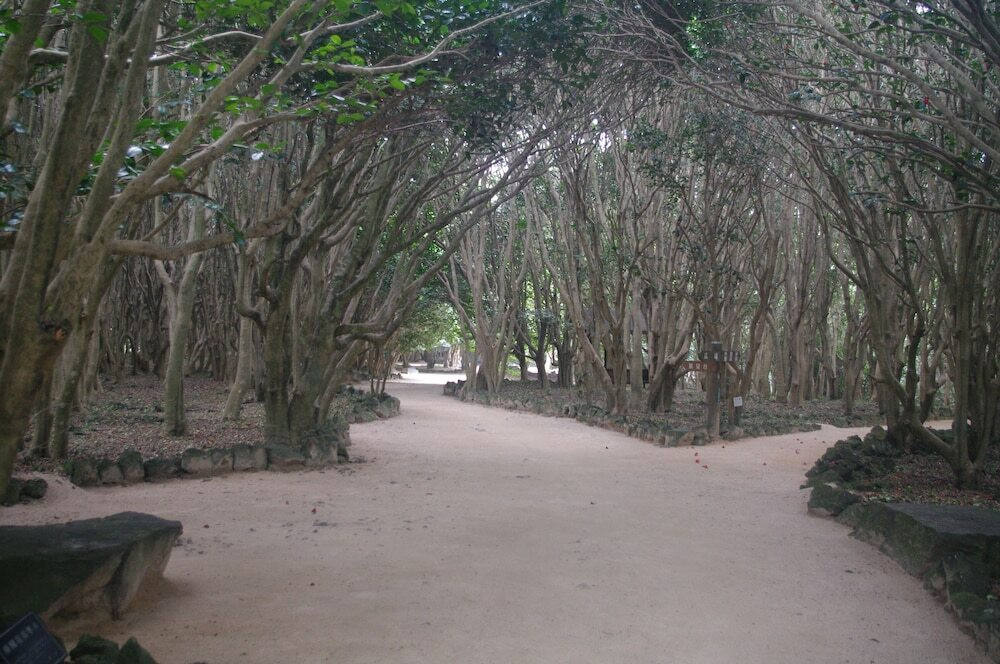 マウンテン ビュー