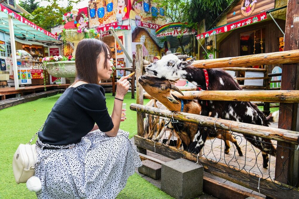 子供向けアクティビティ