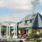 オーベルジュ フレンチの森（兵庫県 リゾートホテル） / 4