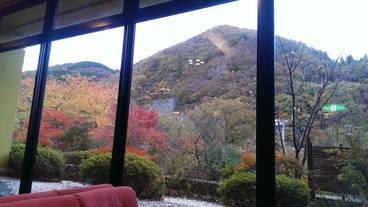 施設からの眺望 / 22