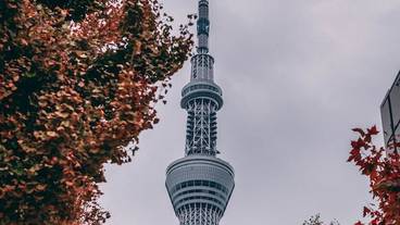 観光スポット / 6