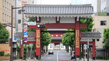 ランド ビュー / 15