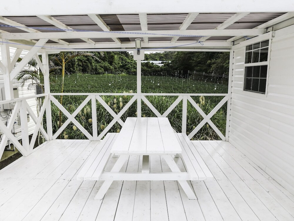 テラス / パティオ