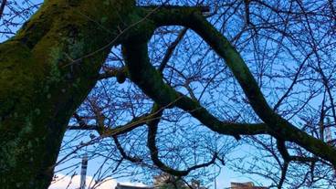 観光スポット / 6