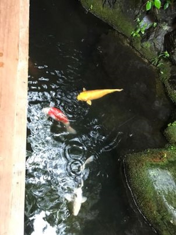 chunnai413さんの写真 / 2