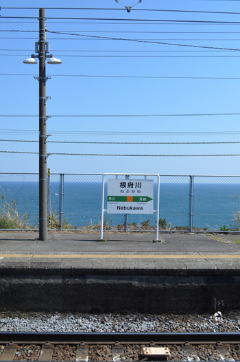 春の根府川駅