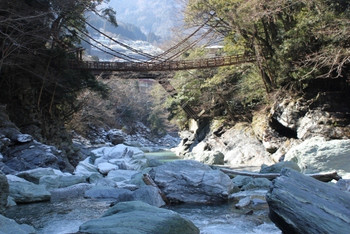 【徳島県】今では重要有形文化財になった吊り橋の代名詞「祖谷のかずら橋」574535