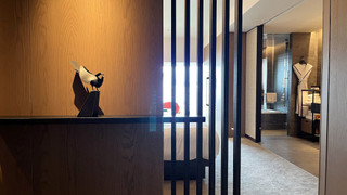 プレミア ルーム キングベッド 1 台 禁煙 パークビュー (Balcony)