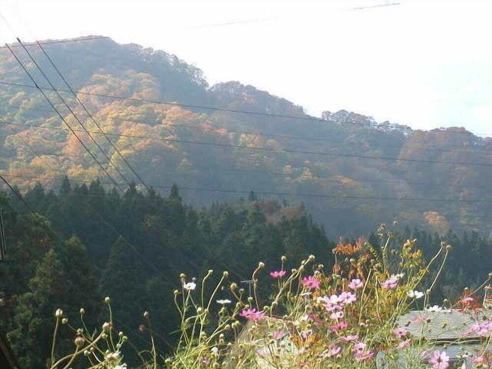 マウンテン ビュー