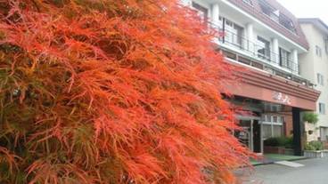 施設の敷地 / 10