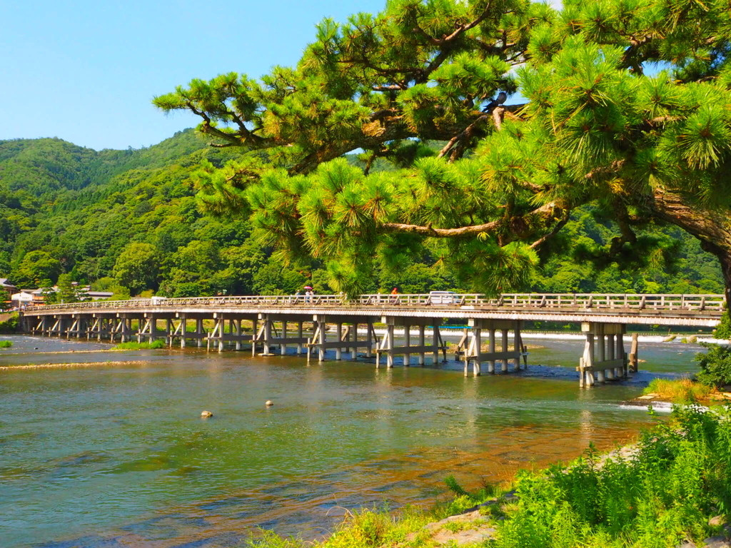 足を伸ばして「嵐山」へ740768