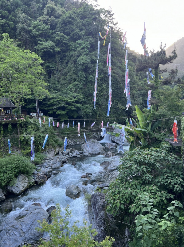 川には鯉のぼりが泳いでいました