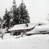宿Cafeレンタル 小左ェ門（岐阜県 民宿） / 3