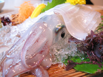 Yobuko squid