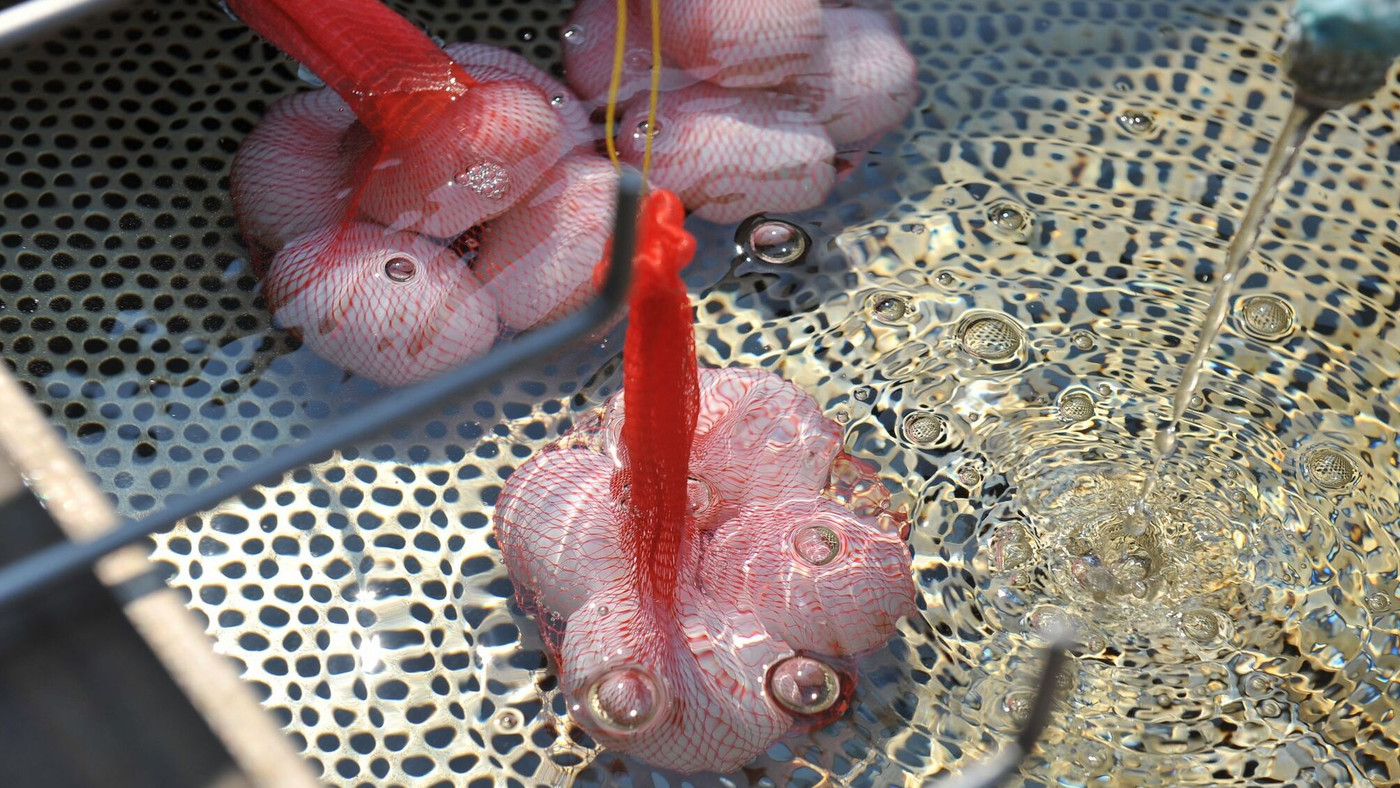 温泉デートを満喫♡湖畔に佇む温泉の楽園4036646