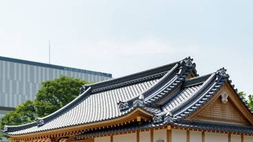 シティ ビュー / 8