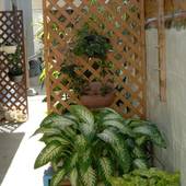 1日1組限定の宿 ゆくいる（沖縄県 民宿） / 2