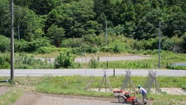 施設からの眺望 / 13