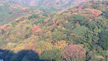 部屋からの景観 / 15