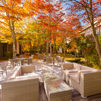 自然豊かな中庭で美しい紅葉を撮影できるホテル4279358