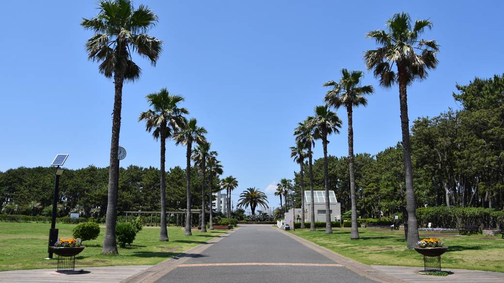 「辻堂海浜公園」 / 1