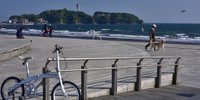 湘南・江の島デートにおすすめ！レンタサイクルで海風を感じるプラン