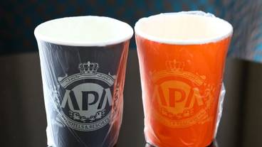 客室の設備とサービス / 16