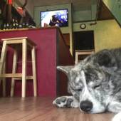 バックステージ 大阪（大阪府 ゲストハウス・ホステル・ドミトリー） / 3