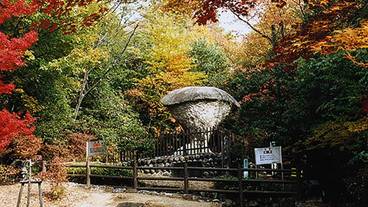 観光スポット / 3