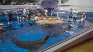 観光スポット / 6