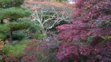 部屋からの景観 / 15