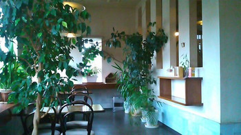「シューフルール」 内観 56694215 1段降りたテーブル席のフロア！植木鉢がいっぱい