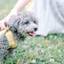 伊勢志摩・鳥羽のペットと泊まれるホテルおすすめ13選！愛犬とお泊り旅を／三重