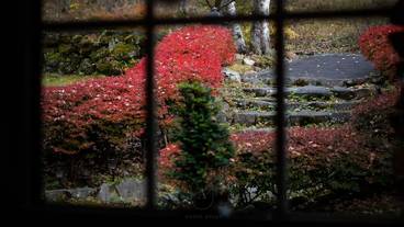 ガーデン ビュー / 5