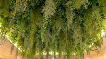 ロビーラウンジ / 11