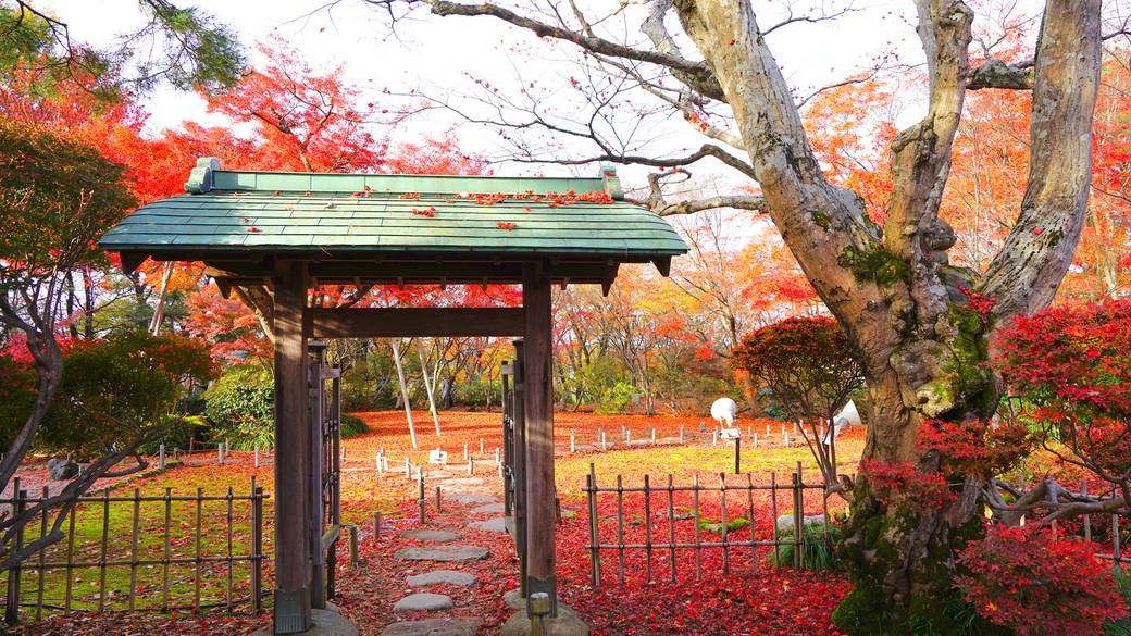 長岡市もみじ園 / 3