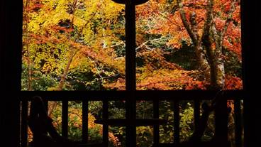 部屋からの景観 / 24