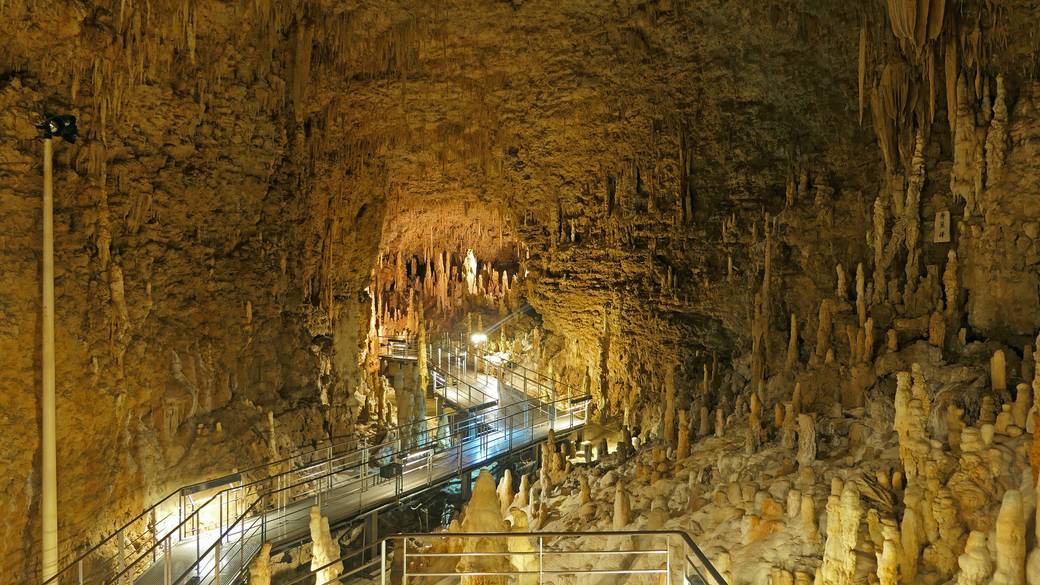 おきなわワールド(2) / 4