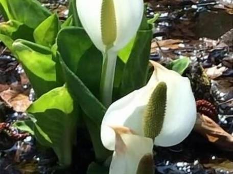 四季の宿 すばる / 2