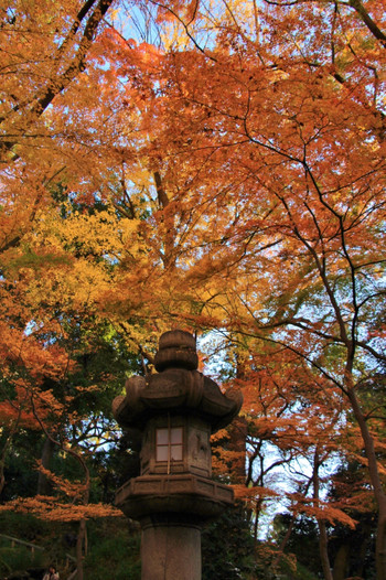 紅葉を望むラウンジも。白金台にたたずむ大人の隠れ家4041807