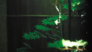 一棟貸し 半露天風呂付