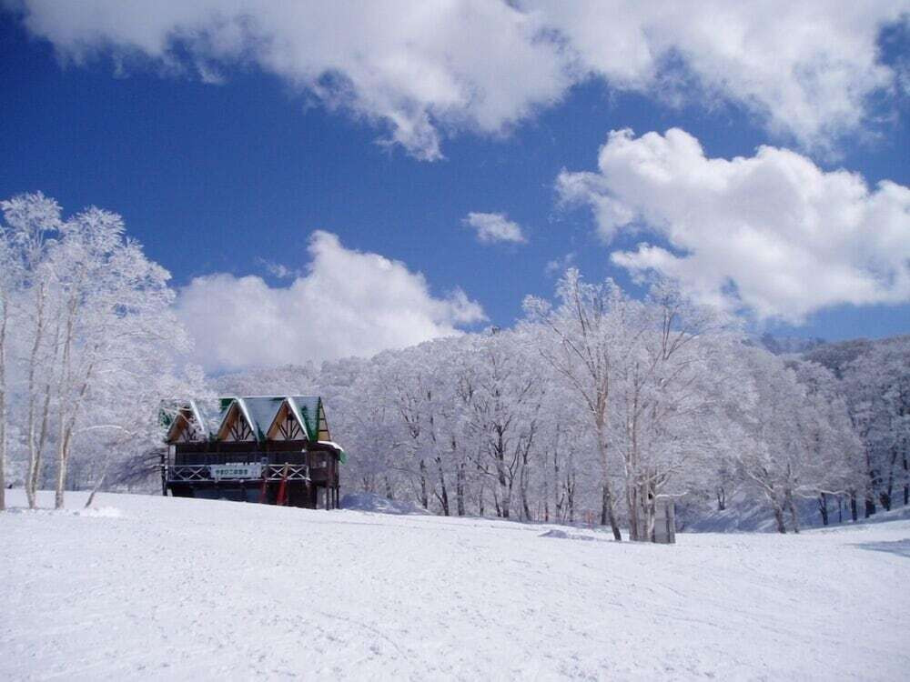 マウンテン ビュー