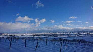 ランド ビュー / 6