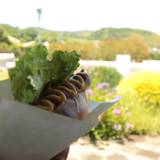 オアシスドッグカフェ（オアシスドックカフェ）