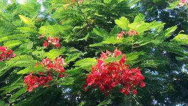 施設からの眺望 / 17