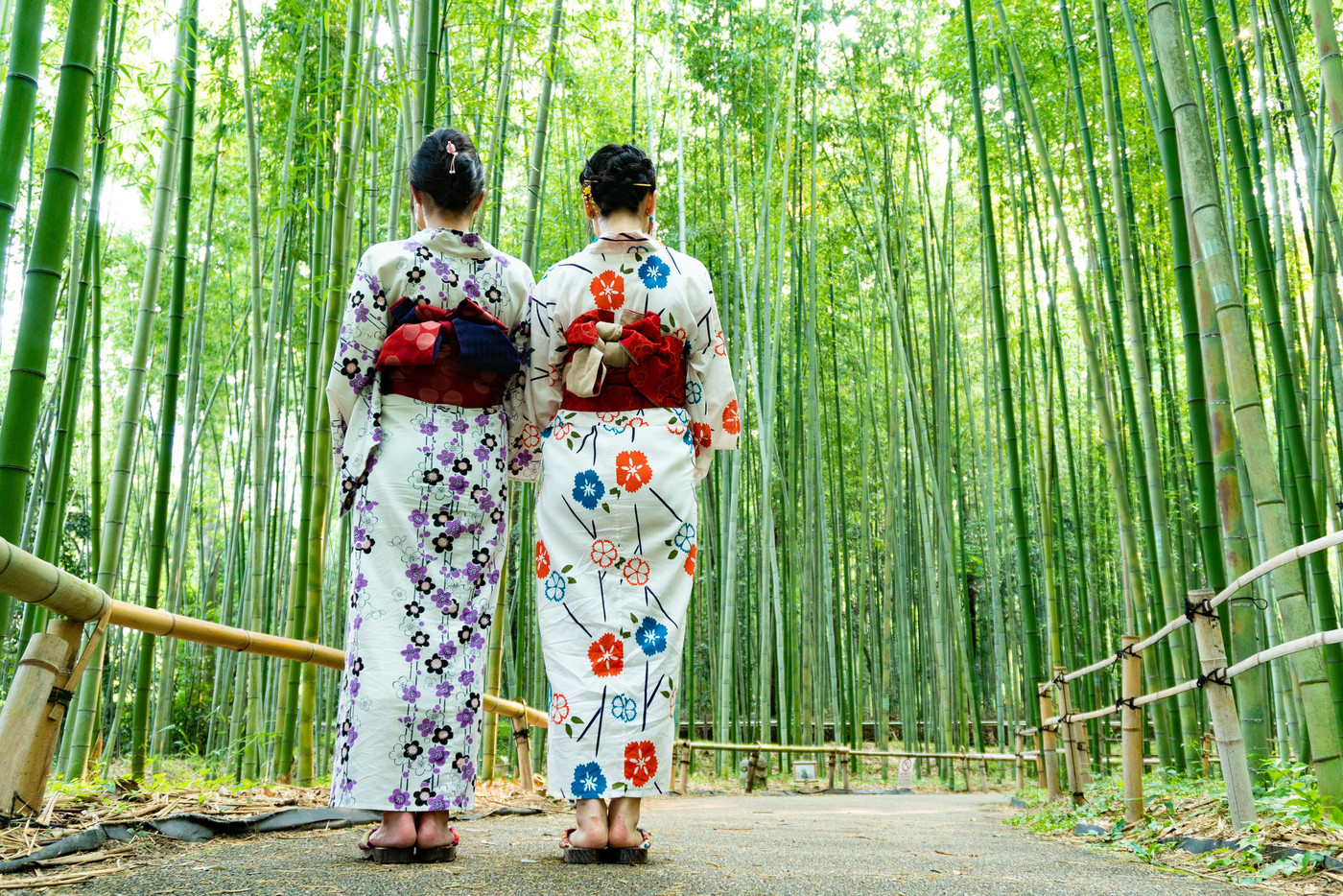 嵐山の竹林と浴衣の後ろ姿