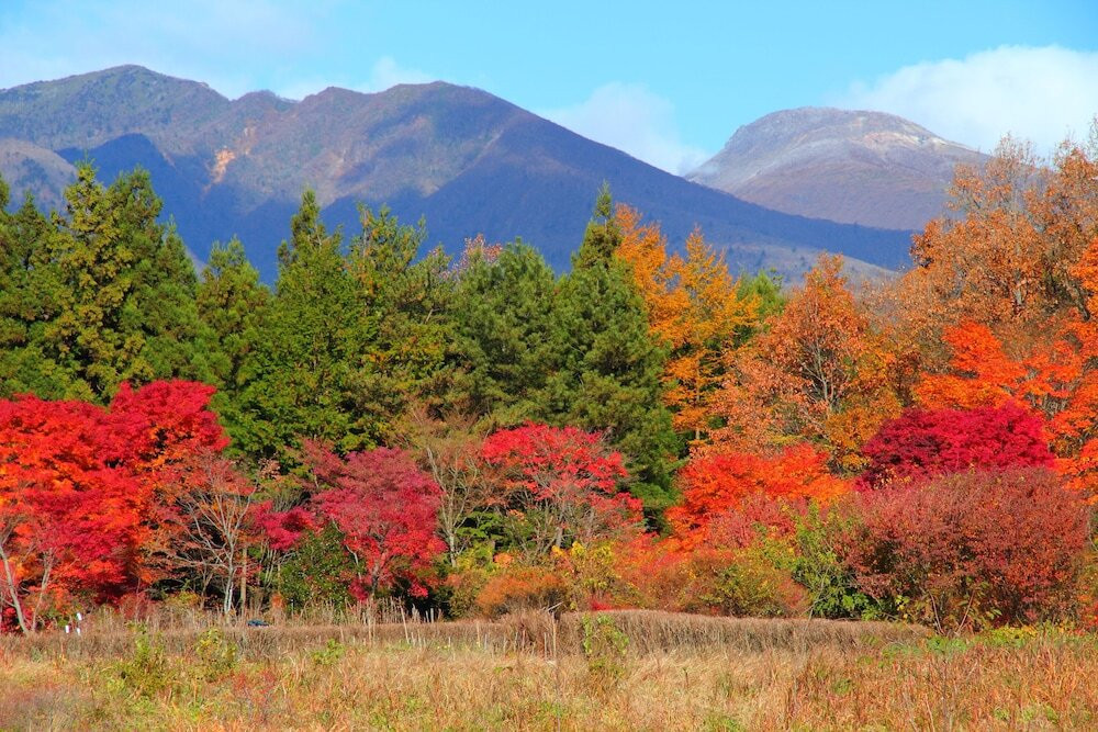 マウンテン ビュー