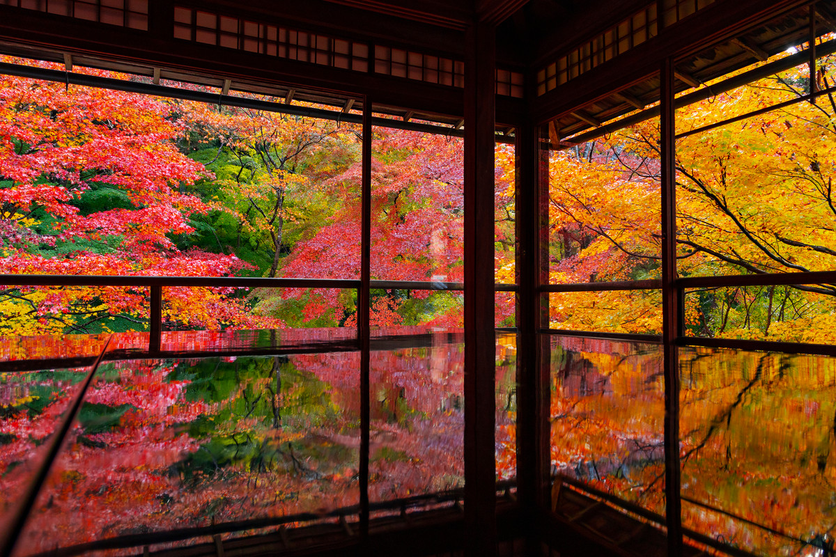 紅葉の瑠璃光院