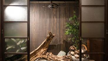 テラス / パティオ / 31