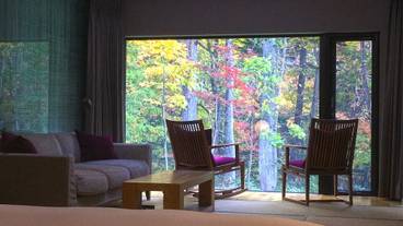 客室の眺望一例／秋 / 12